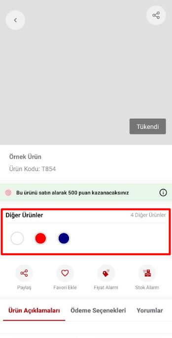 Renk Tipinde Gösterim