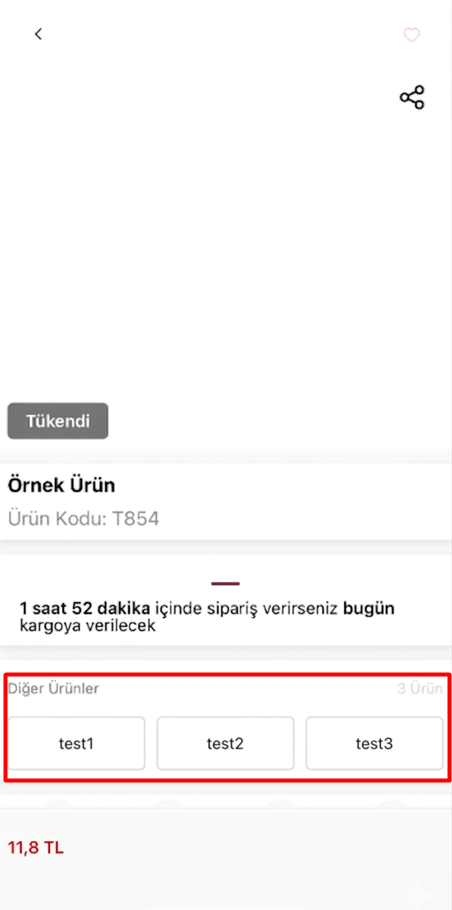 Metin Tipinde Gösterim